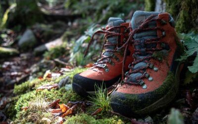 Welcome to My New Site